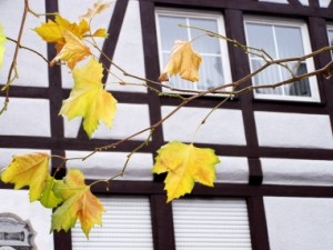 Heizungsmodernisierung: Wärmepumpe im Altbau - © Helene Souza, pixelio.de Heizungsmodernisierung. Wärmepumpe im Altbau? Große Heizflächen und eine gute Dämmung vorausgesetzt, ist die Wärmepumpe auch für den Altbau ein bestens geeignetes Heizsystem.