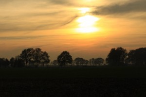 Die Nutzung der Solarenergie ist auch in unserer Region überaus populär. SANIWOLF installiert thermische Solaranlagen und Photovoltaik. Ihr Fachbetrieb in der Region Reutlingen, Tübingen, Nürtingen